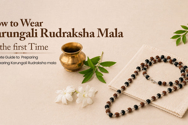 Karungali Rudraksha Mala – Protection, Spiritual Strength & Positive Energy